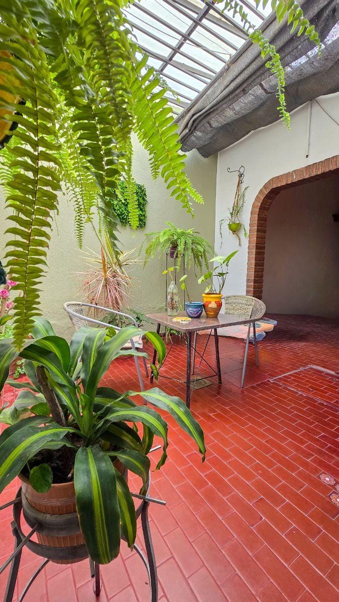 Patio de invierno casa en venta en barrio Bajo Palermo de la ciudad de Córdoba